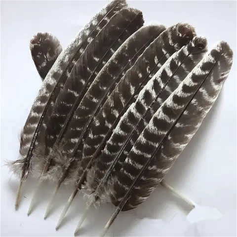Wholesale Natural Eagle Feathers 10-16 Inch (20-40 CM) Eagle Bird Turkey Pheasant Feather for Crafts DIY Wedding Decoration Plum
