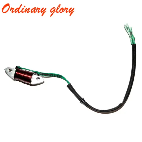 Motore fuoribordo 61N-81313-09 Bobina di illuminazione per YAMAHA C 25HP 30HP Motore per barche a 2 tempi E25B E30H