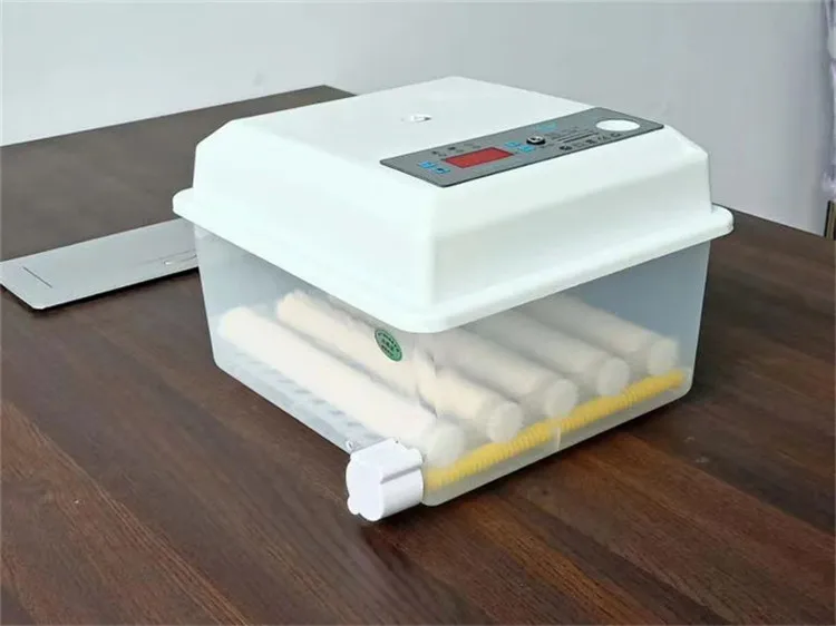 36 قطعة آلة فقس بيض صغيرة حاضنة البيض التفريخ