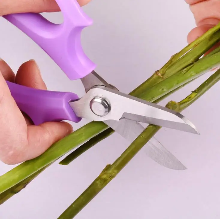 Round Head Pruning Gardening Flower Scissors Branch Shears Bonsai Pruners Flower Shop Tools SN3243