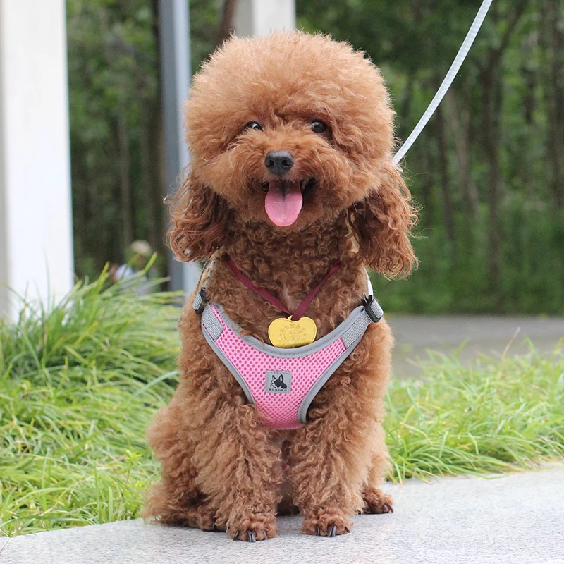 Adjustable Pet Dog Vest Harnesses for Small Medium Dogs Mesh Reflective Dog Harness Poodle Shih Tzu Accessories Mascota Supplies