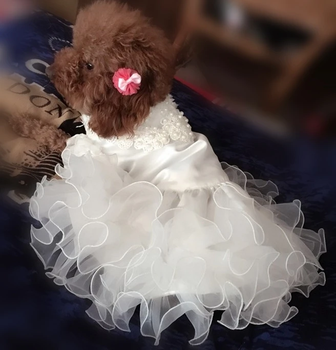 Pet Bride Groom Costume Clothes Bling Cat Dog Wedding dress Dog cat Tuxedo for Cat chihuahua poodle Small Pet