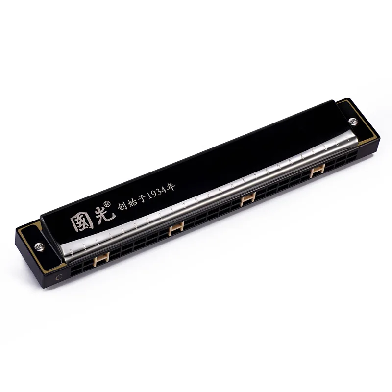 24-Hole Polyphonic Harmonica, C Chord, Portable Mini Harp Instrument, Professional Harmonica for Students, Beginners and Adults