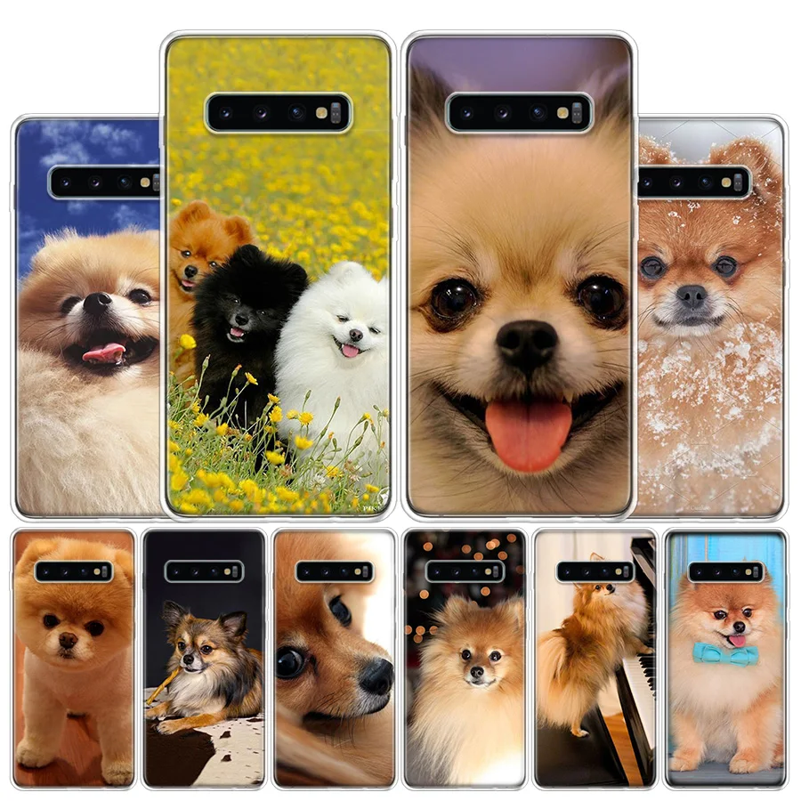 Pomeranian Chó Chó Thiết Kế Ốp Lưng Điện Thoại Samsung Galaxy S22 S21 Cực S10 Plus S20 FE S10E S9 S8 S7 edge J4 + Bìa Mềm Coque