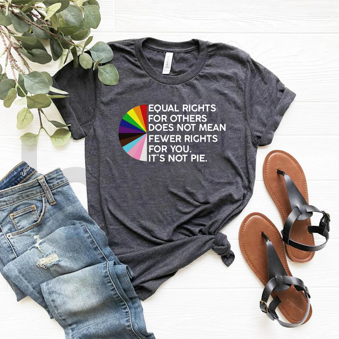 Equal Rights for Others Does Not Mean Fewer Rights for You Shirt It's Not Pie Shirt LGBT Rainbow T-shirt Gay Pride LGBTQ Tshirt