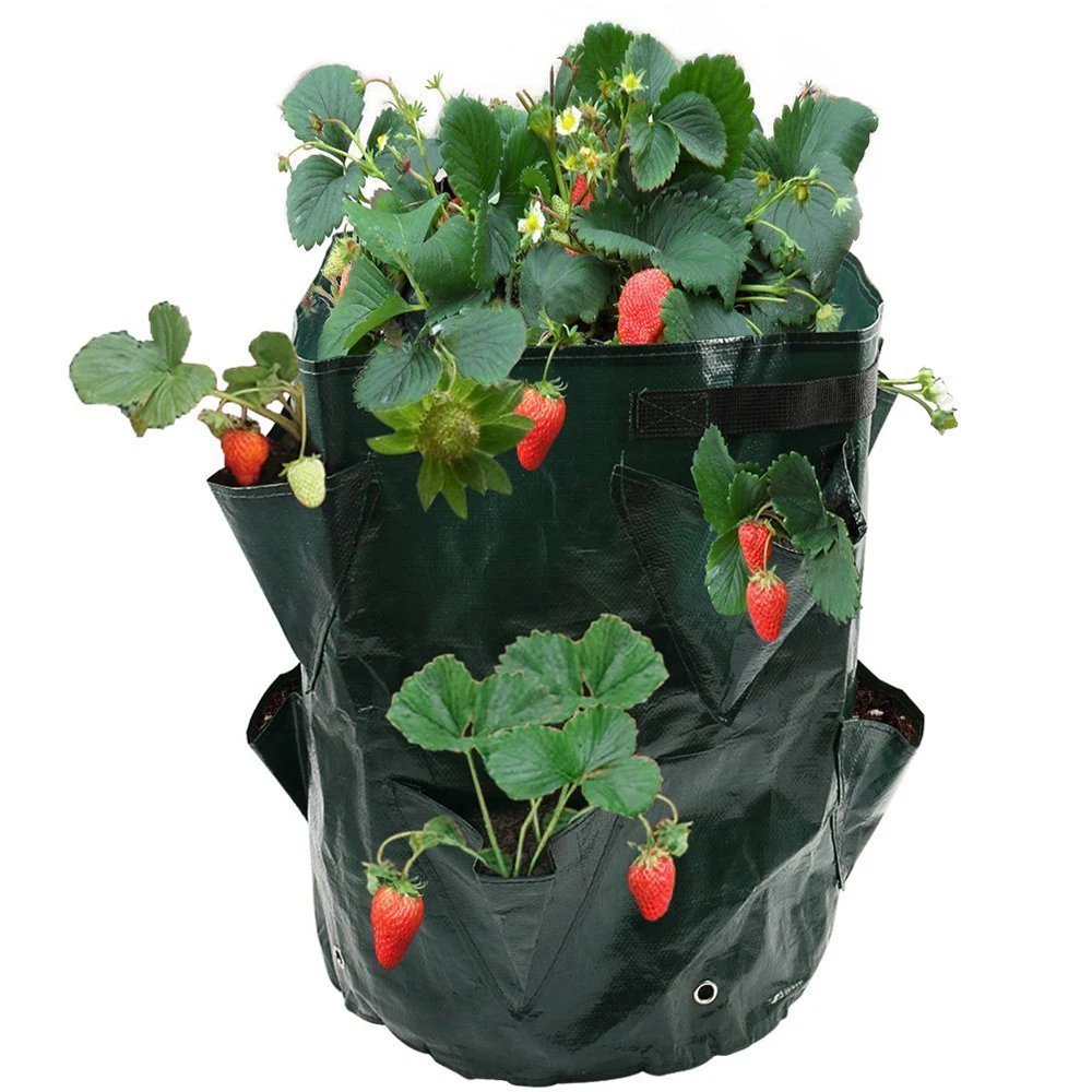 Strawberry Tomato Planting Growing Bag 5/7/10 Gallons Multi-mouth Container Bags Grow Planter Pouch Root Bonsai Plant Pot D30