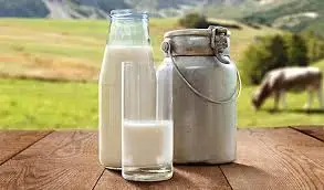 آلة بسترة الحليب 30 لتر, صغيرة الحجم