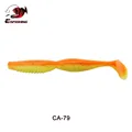 CA79