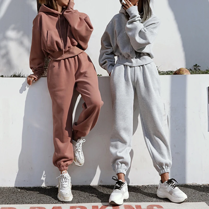 Two Piece Set Casual Fleece Tracksuit Women Winter 2024 Women\'s Sets Oversized Hooded Long Sleeve Hoodie Sport Pants Lady Suit