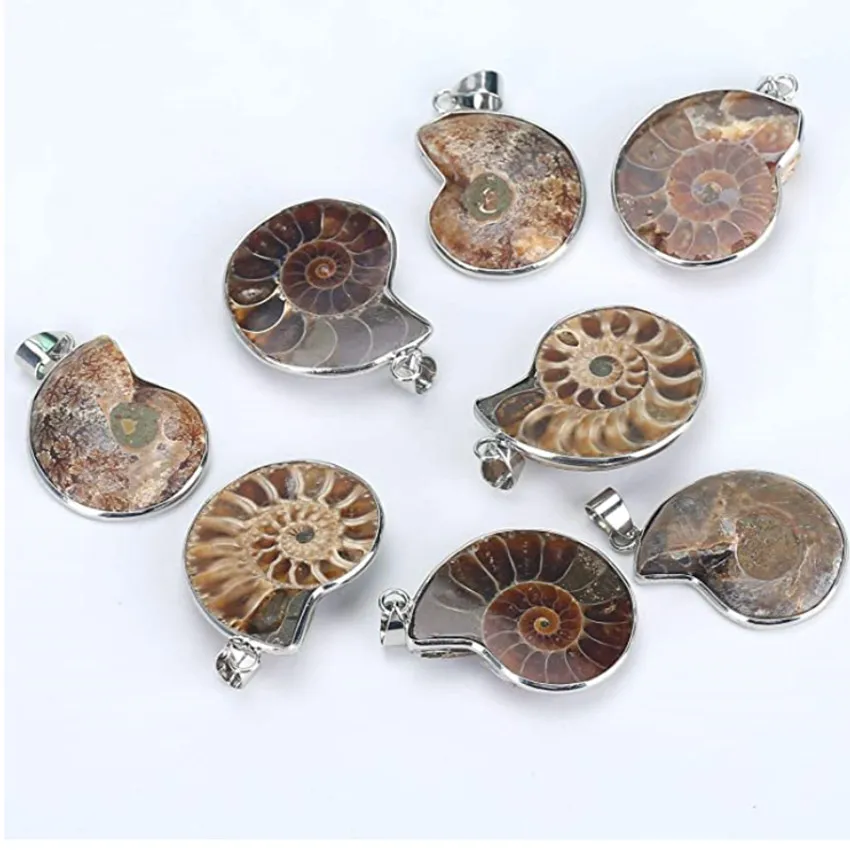 Silver Plated Irregular Shape Ammonite Reliquiae Pendant for Gift Necklace Fashion Jewelry