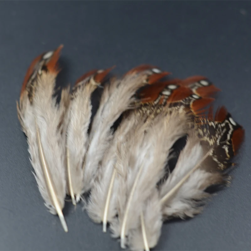 Plumas de faisán Ringneck para ninfa y Caddis – Sillín y cuello - imagen 2