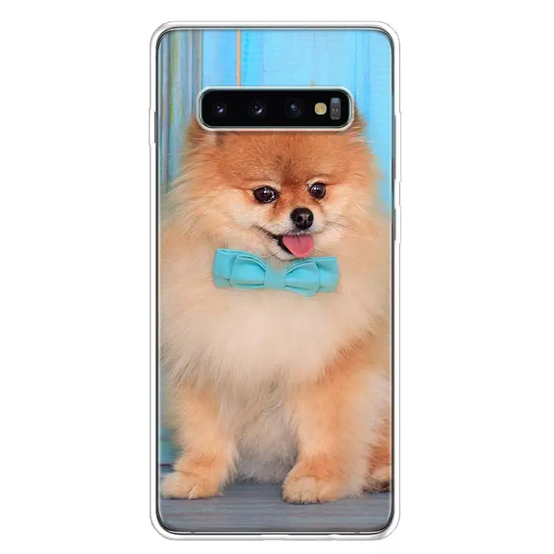 Pomeranian Chó Chó Thiết Kế Ốp Lưng Điện Thoại Samsung Galaxy S22 S21 Cực S10 Plus S20 FE S10E S9 S8 S7 edge J4 + Bìa Mềm Coque