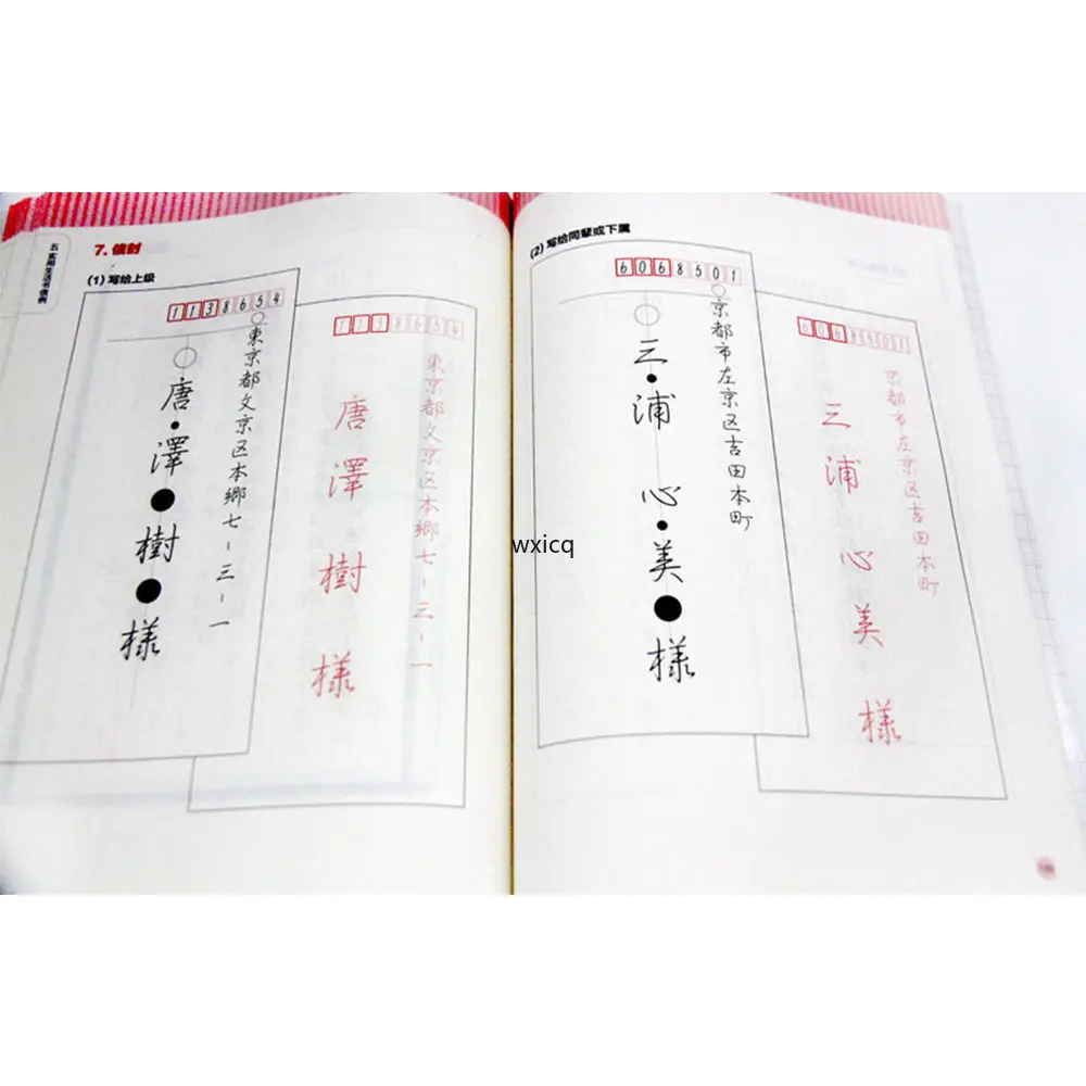 Student Japanese Copybook Japanese Syllabary Copybook Entry Zero-based Beginner Self-learning Vocabulary Calligraphy Book School