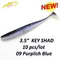09 Purplish Blue