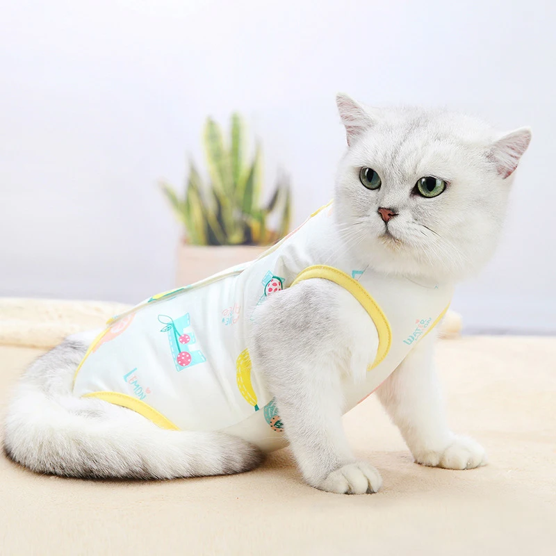 Pet Cat Clothes Dress Cat Retrieve After Surgery Clothing Pet Wound Anti-mite Sterilization Pet Supplies Surgical Recovery Suits