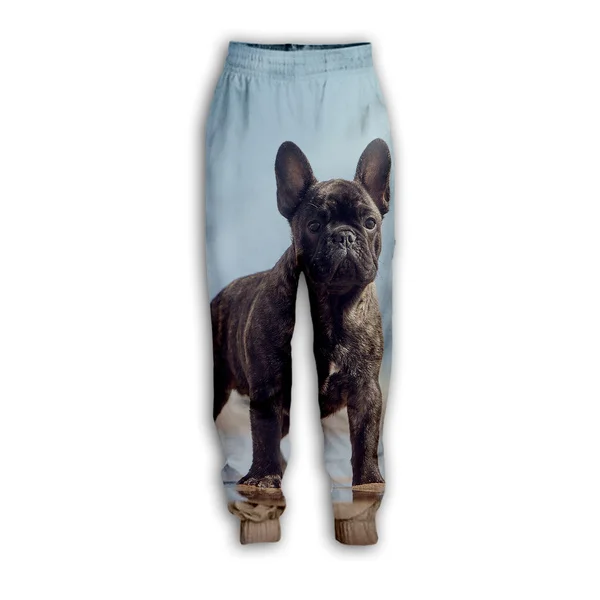 

New French Bulldog 3D Print Causal Clothing Fashion Men Women Tracksuits Crewneck Hip Hop Pants Plus Size S-7XL jogging pants