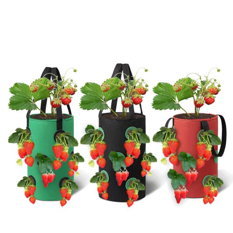 

3 Gal 12 holes Strawberry grow pot bags Plants Flower Tomato Growing Garden wall Hanging Vegetable Root Planting Reusable Her