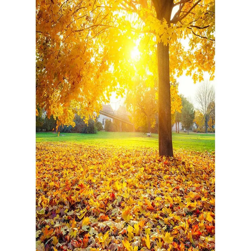 خلفية تصوير فوتوغرافي على شكل أوراق شجر صفراء متساقطة، خلفية مخصصة لالتقاط الصور الفوتوغرافية للأطفال الصغار