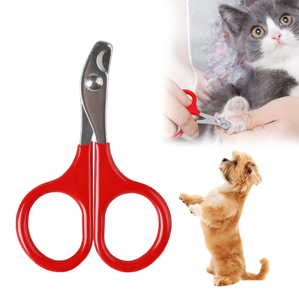 

Small Pet Nail Clipper Cat Nail Trimmer Stainless Steel Fenic Dog Scissors Pet Grooming Shears Nail Supplies For Animal Claw