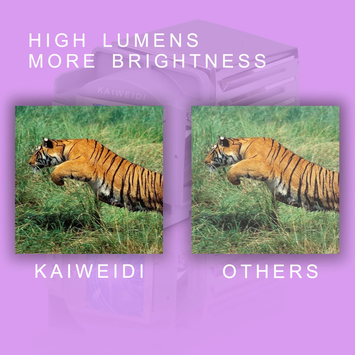 Compatível lâmpada de substituição v13h010l66 elpl66 para epson ex5200/ex71/ex7200/h309a/h309c/h310a/h310c/h311b/h311c/h312a/h312b