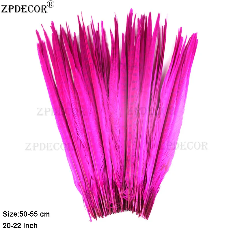 ZPDECOR 50-55cm 20-22 Inch Ringneck Pheasant Feathers Natural Pluma