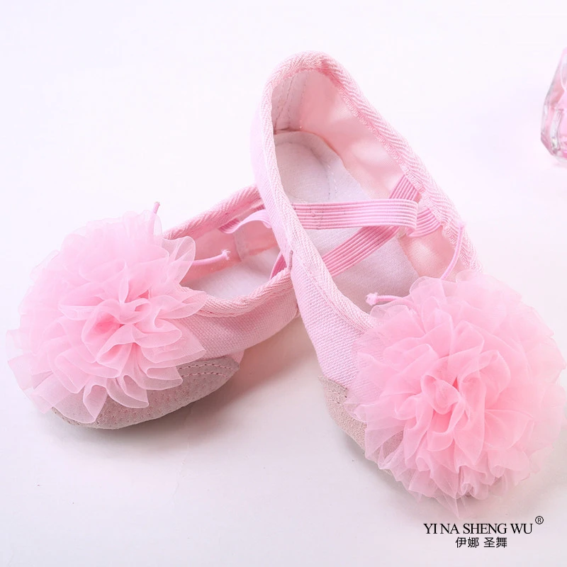 Zapatos de baile de Ballet para niñas, zapatos de baile de flores para niños, zapatos de gimnasia rojos de suela suave, Ropa de baile para niñas, 9 colores