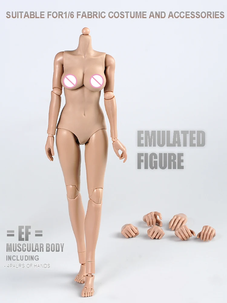 1/6 Female  Action Figure Dolls 12\