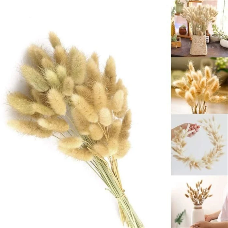 

Real Wheat Decoration Natural Pampas Rabbit Tail Grass Dried Flowers For Wedding Party DIY Craft Typha Lagurus Ovatus Phragmites