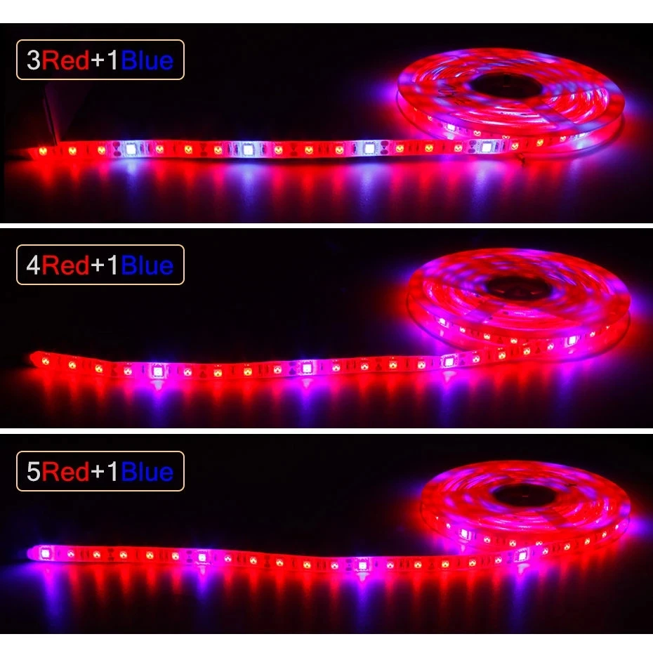 12V LED Grow Light Full Spectrum LED Plant Strip Light Bulb 5M 300 LEDs Phyto Lamp For Seedlings Flower Fitolampy Grow Tent