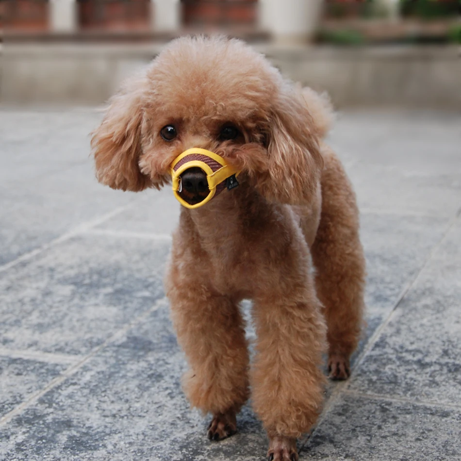 Bozal de perro cachorro pequeño mediano grande perro de cuero sintético de Nylon malla hocico de mascota bozal