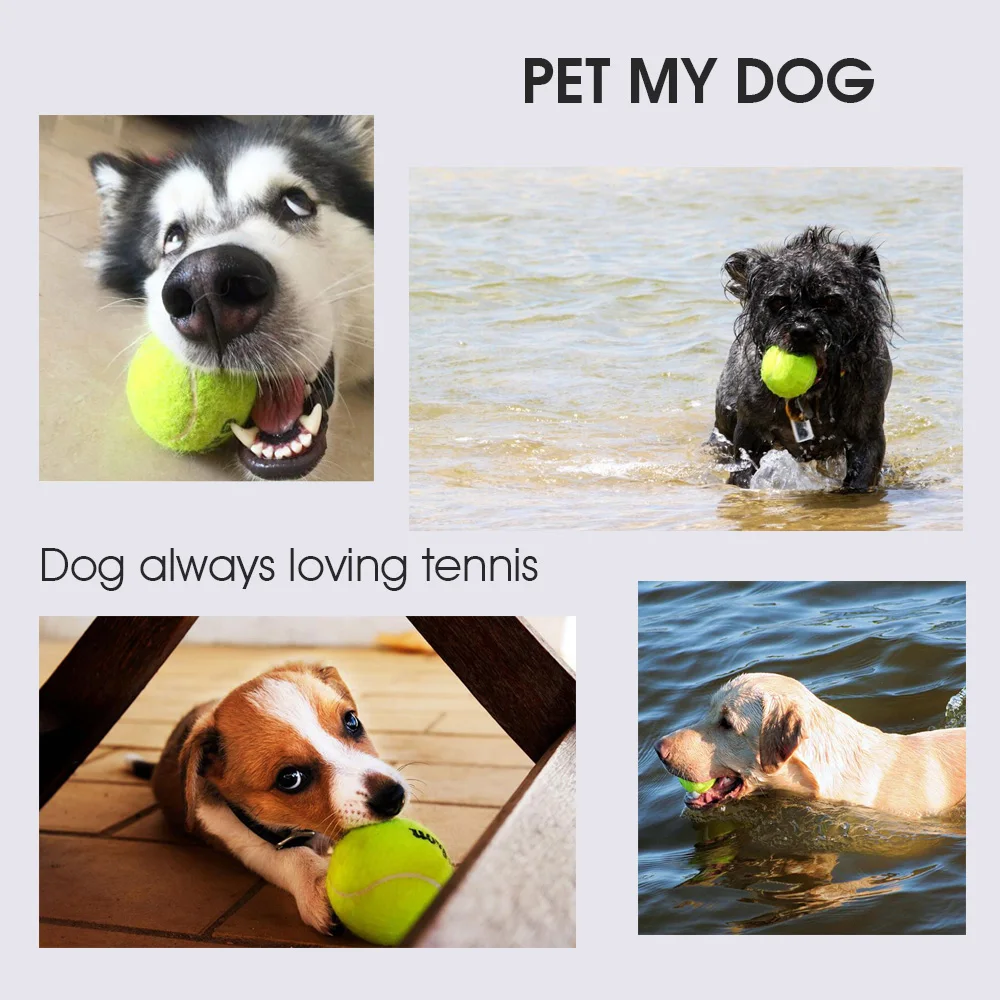 WELKIN New 63mm Pet Dog Puppy Tennis Ball Thrower Chucker Launcher Play Toy Supplies Outdoor Sports with Rubber Design for Pets