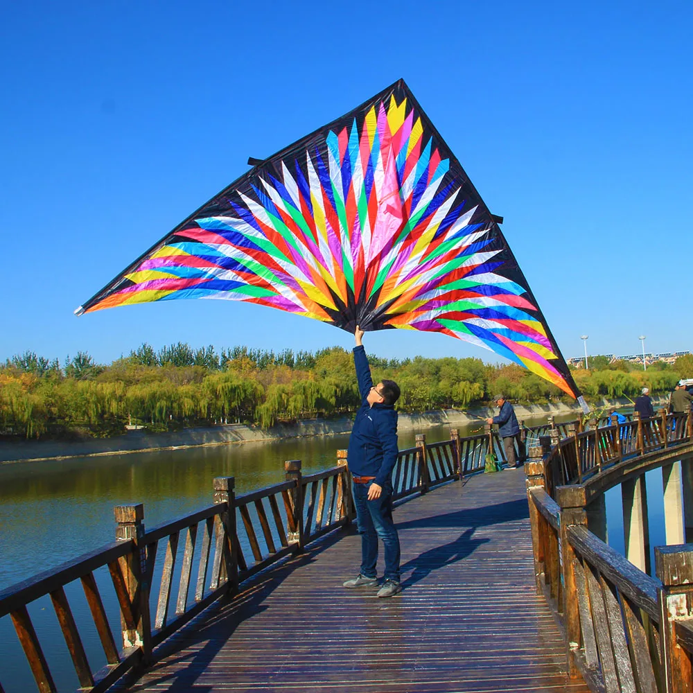 Ray kite Triangle kiteOutdoor fun Big Delta kite single line colorful triangle flying kites for audlts