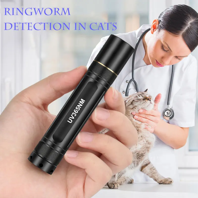 TMWT Strong Beam 5W 365Nm LED Flashlight Ultraviolet Torch UV Black-Filter 18650 High Powe Torch For Money Detector Pet Stains