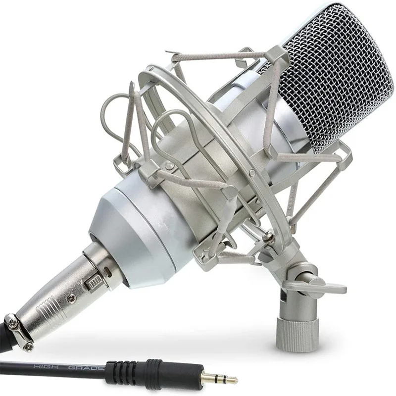 Cardioid Condenser Microphone XLR, (Noise Deduction) 360 Degree Uni-Directional Voice Recording with Mount & Windscreen for PC,