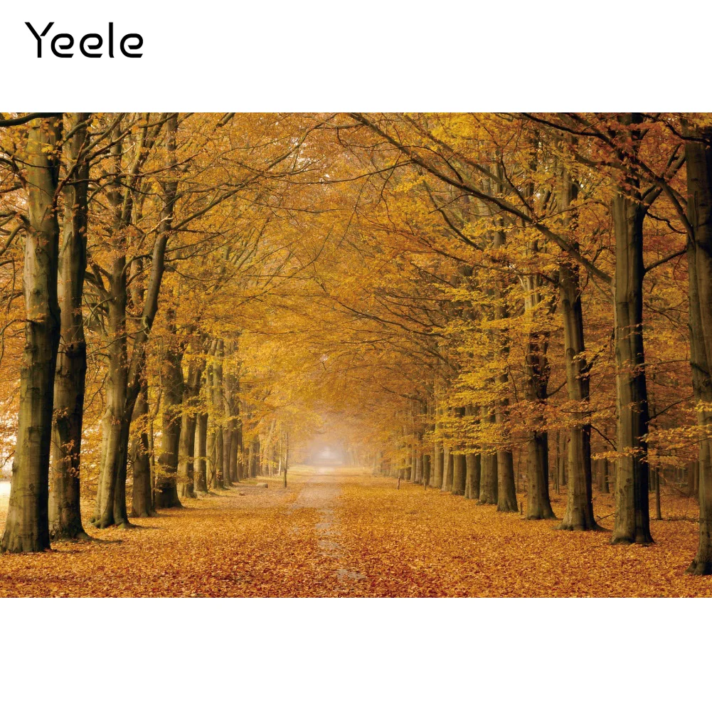 Yeele 가을 숲 낙엽 Photocall 자연 경관 사진 배경 사진 스튜디오 사진 배경