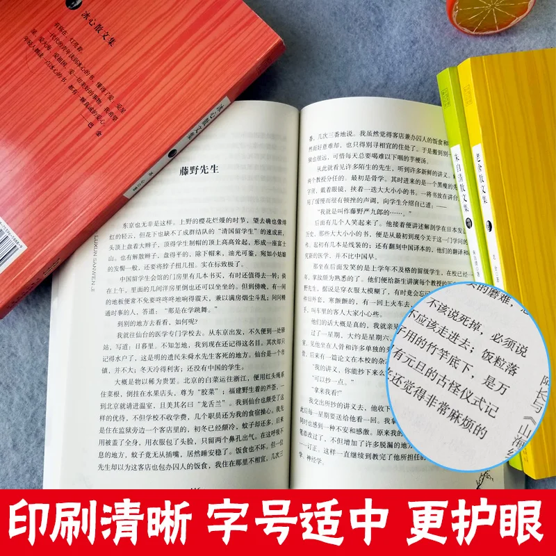 Imagem -03 - Livros Clássicos Chineses Novo Livros lu Xun Zhu Ziqing Lao She Bing Xin Famous Books