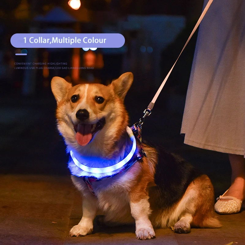 Dog Collar LED Light USB Discoloration Luminous Collar Perro Luz Led Dog Collar Flashing Rechargeable Glowing Collar For Dog Pet