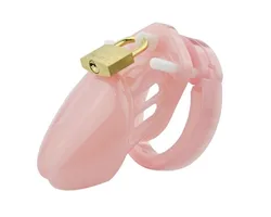 Sex Toys Small/Standard Male Chastity Device Cock Cage with 5 Size Rings Brass Lock Locking Number Tags Chastity Cage Male