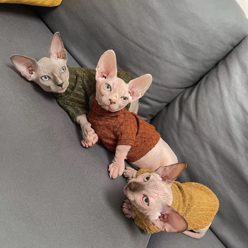 winter Warm Sphinx Hairless Cat turtleneck sweater base coat Solid color stretch soft Sphinx Devon cat clothes