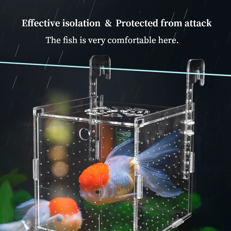 Aquarium Isolation Box Aquarium Kleine Braten Zucht Box Multifunktionale Laichen Brut Zimmer Aquarium Zubehör Fisch Supplie – Detail 3