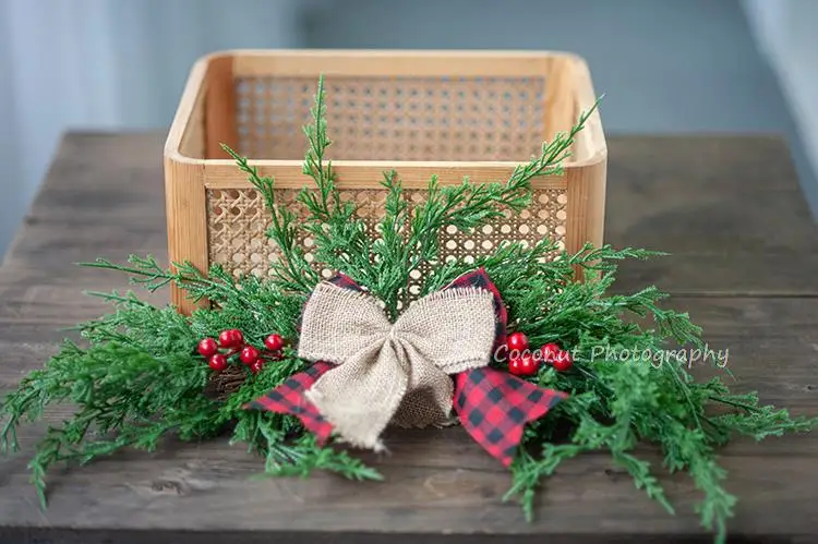 Coconut newborn Photography Prop festival Christmas Spring Festival childrensimulation green plants flowers festival collocation