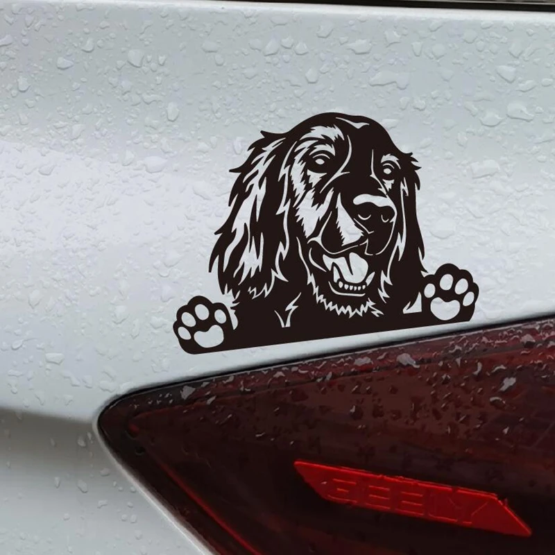 XY Funny Dog Golden Retriever Car Sticker Vinyl Decal Rear Windshield Side Window 15CMX11CM