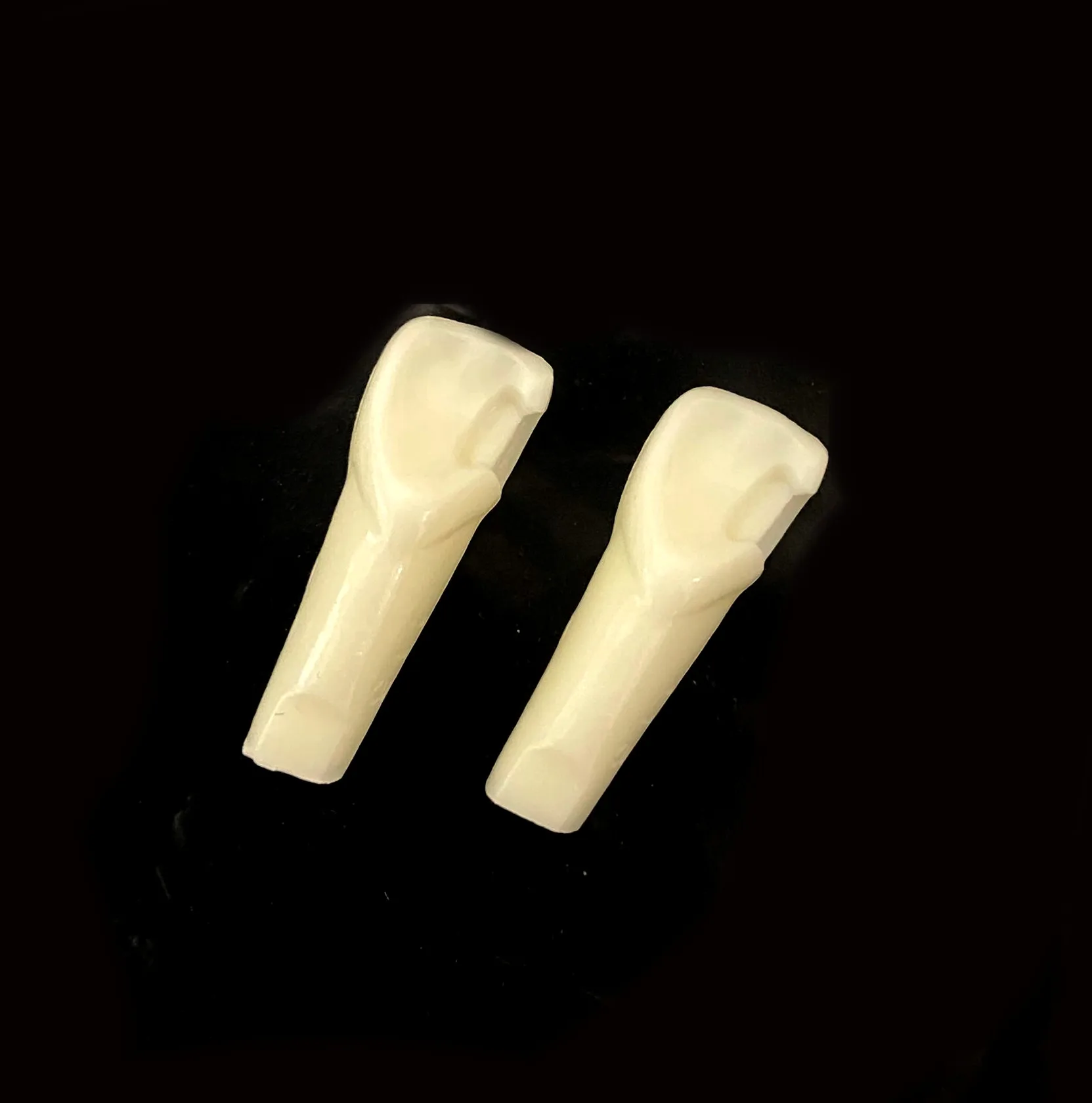 Dental Resin Tooth Plastic Replacement Teeth Teaching Model Dentistry Product