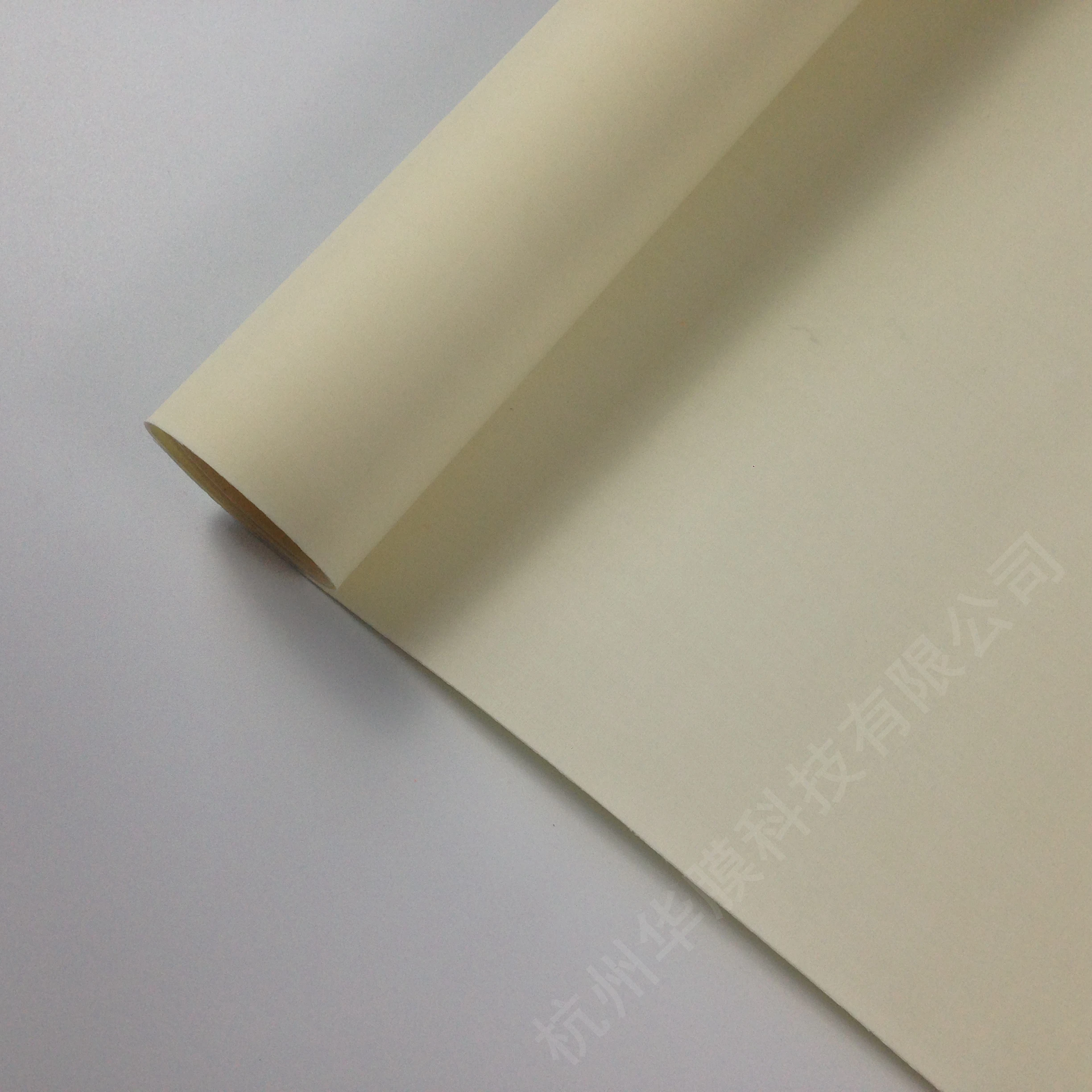 Membrana a scambio anionico AMI-7001S