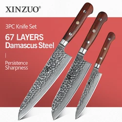 XINZUO 3 PCS Kitchen Knives Set Japanese 67 Layer Damascus Stainless Steel VG10 Knife Chef Utility Santoku Knife Rosewood Handle