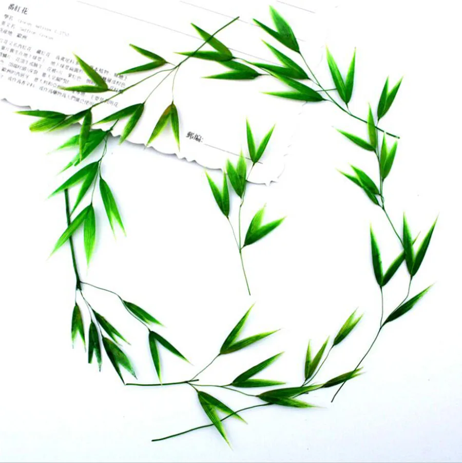 120pcs Pressed Dried Bamboo Leaf Flower Plants Herbarium For Jewelry iPhone Phone Case Bookmark Frame DIY Making Accessories