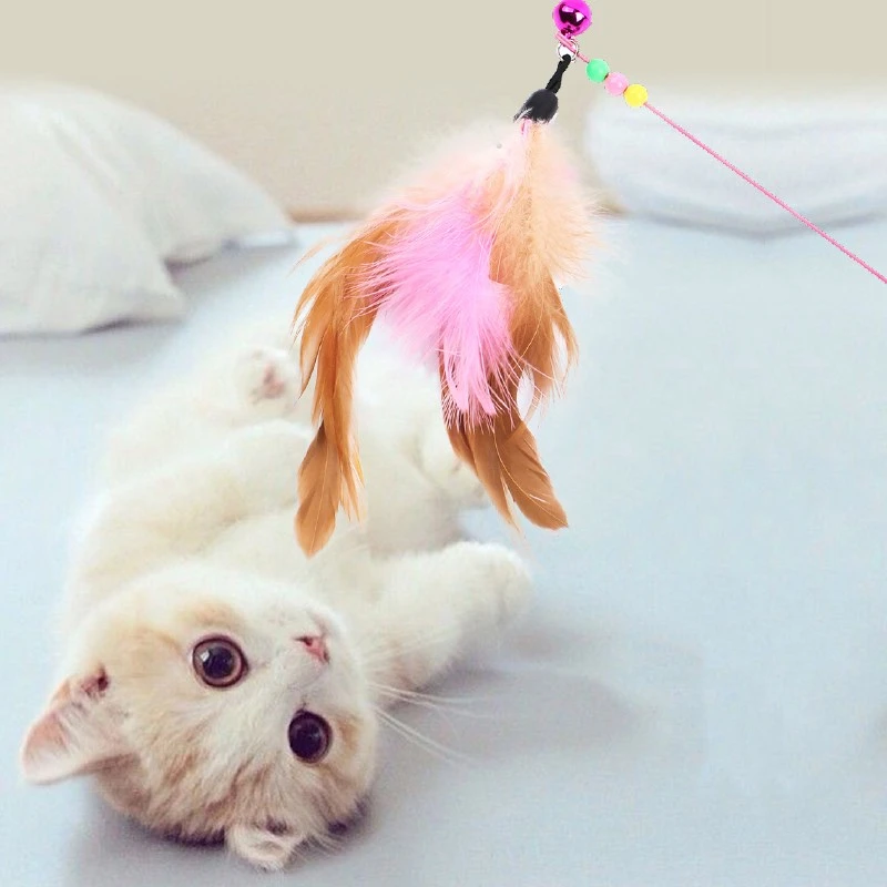 Jouet amusant en peluche pour chat, avec anneau et cloche, bonne ULélastique, accessoire de haute qualité, fournitures pour animaux de compagnie