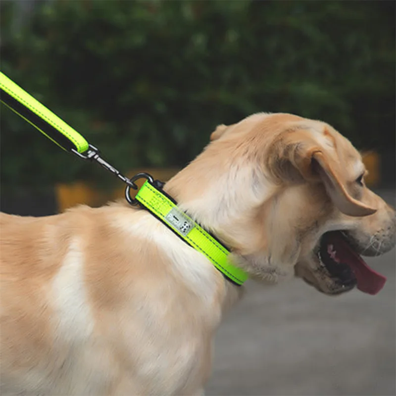 Adjustable Pet Dog Collar Reflective Traction Leash Double-Deck Nylon Dog Collar Pet Accessories Outdoor Walking Traction Rope