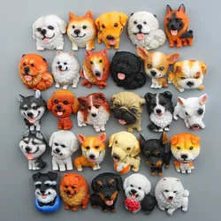 World Famous Dog Magnet for Fridge Decor Corgi Hutch Bulldog Shiba Inu Model Kawaii Magnets Stickers for Home Decoration