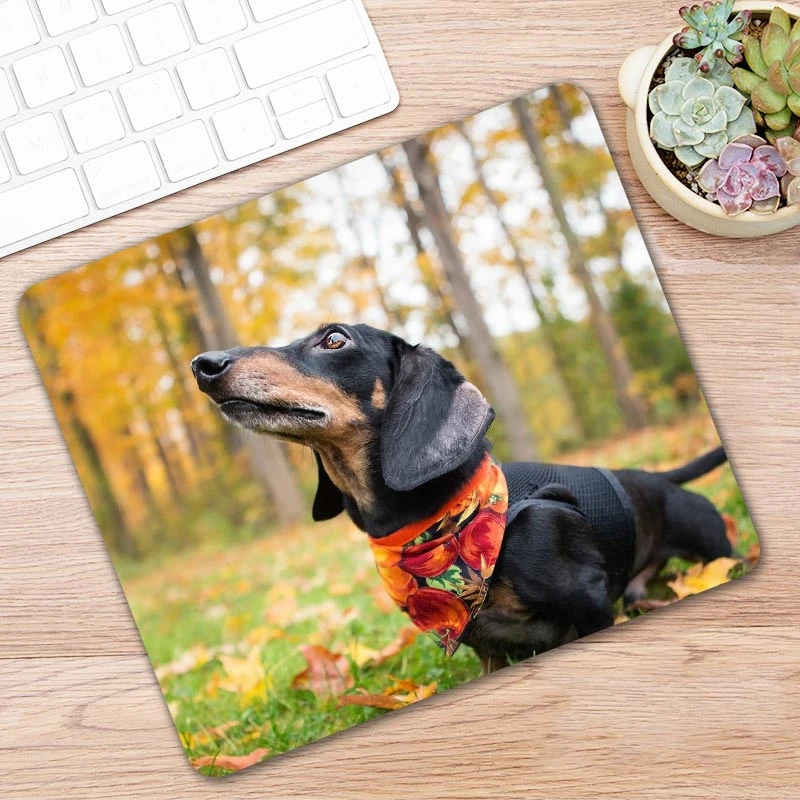 Animal Dog Dachshund Dackel Teckel Pc Tablet Gamer Computer Laptop Mause Mouse Pad Mousepad Mice Mat Decorate Desk Keyboard